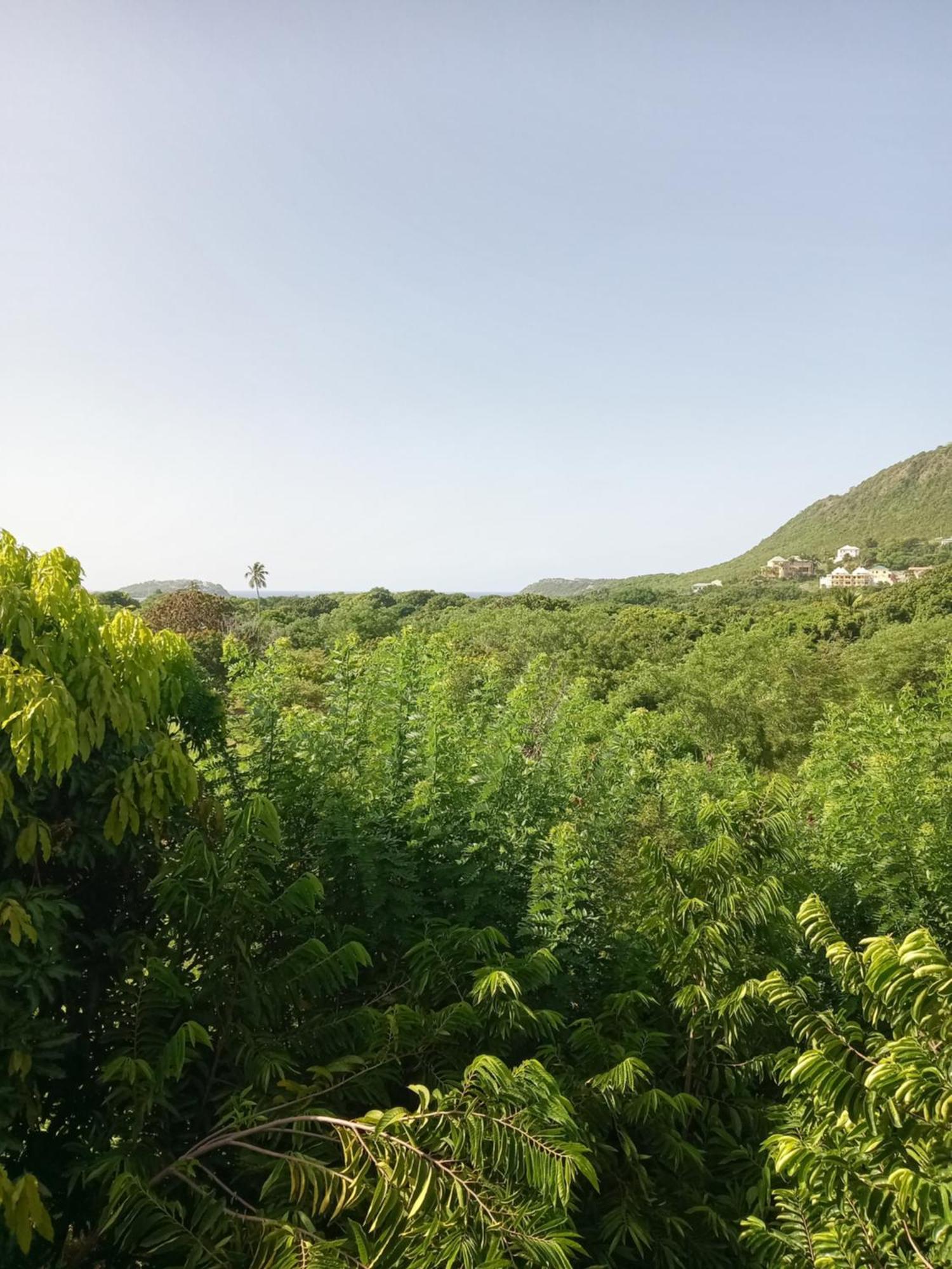 Apartment Unforgetable Gardens Falmouth Harbour Bagian luar foto