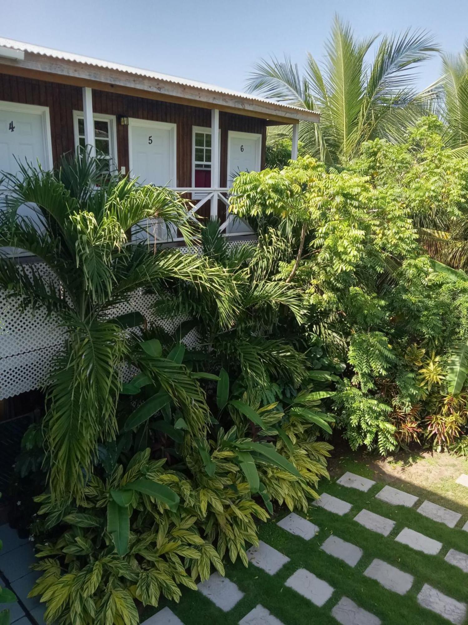 Apartment Unforgetable Gardens Falmouth Harbour Bagian luar foto